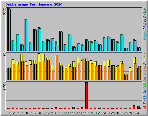 Daily usage for January 2024