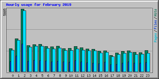 Hourly usage for February 2019