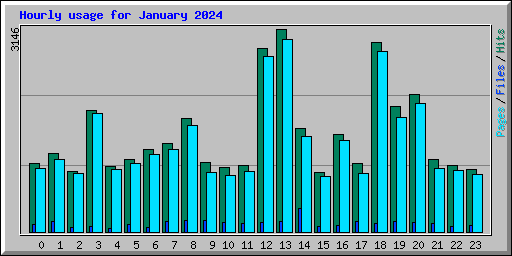 Hourly usage for January 2024