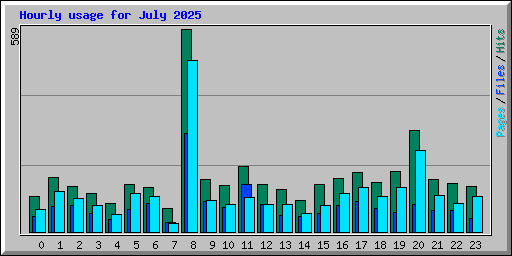 Hourly usage for July 2025