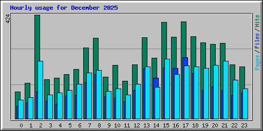 Hourly usage for December 2025